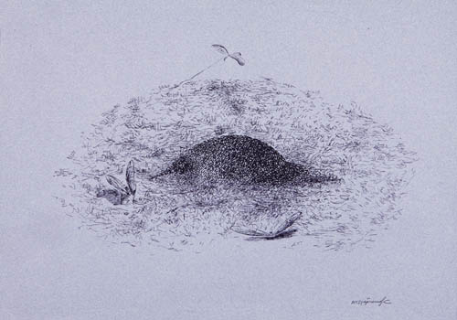 Nino Japaridze | Piège à loups II (Mantrap II) - 2008 ink on paper