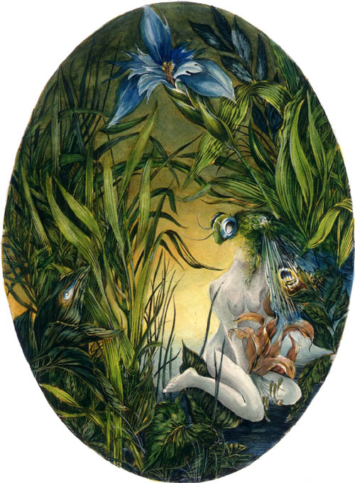 Dietrich Schuchardt - Eine Lilie (Lily) - 1987 hand painted etching