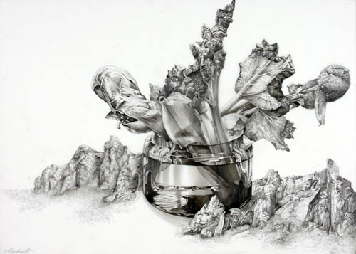 Dietrich Schuchardt - Rhabarber (Rhubarb) - 1999 pencil on vellum