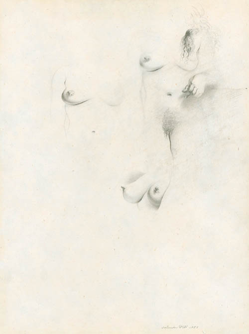 Salvador Dali - Etude Nu - 1936 pencil on paper
