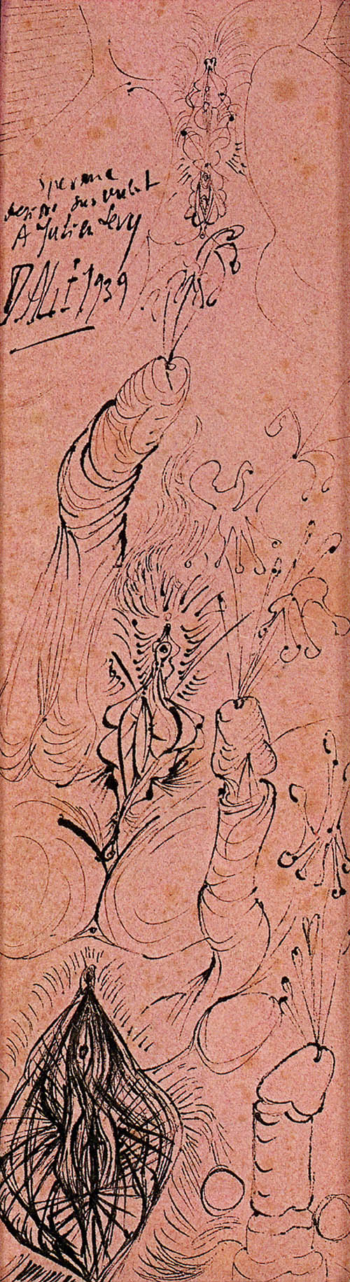Salvador Dali - Sperme (Sperm) - 1939 ink on pink paper